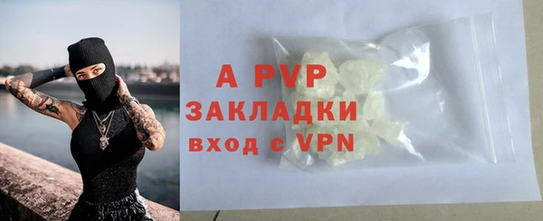 гашик Гусев