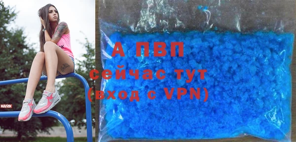гашик Гусев