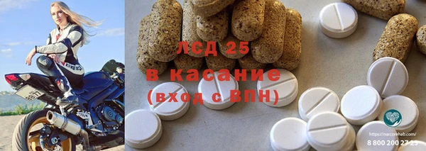 гашик Гусев