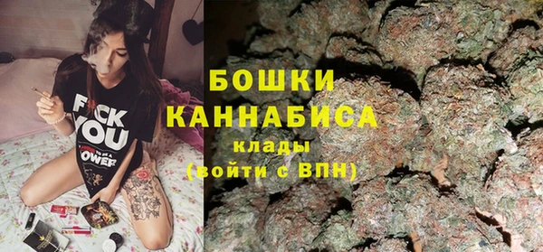 гашик Гусев