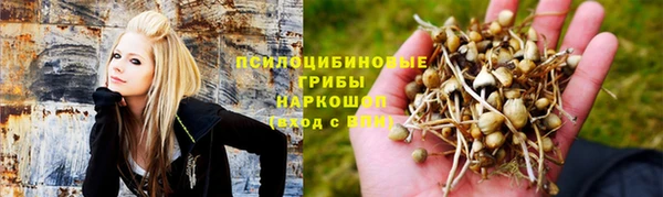 гашик Гусев