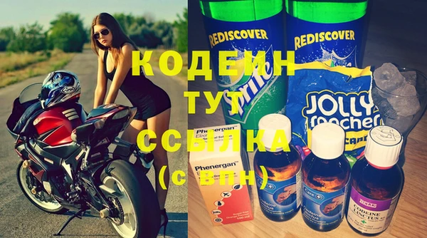 гашик Гусев