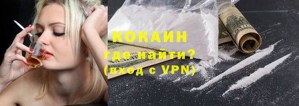 гашик Гусев
