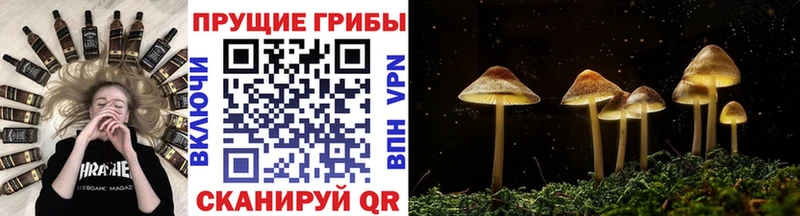 Галлюциногенные грибы MAGIC MUSHROOMS Новокузнецк