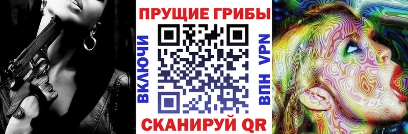 Галлюциногенные грибы прущие грибы  Купить закладки  Новокузнецк 